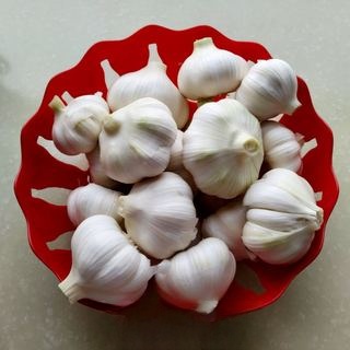 Pickled Sweet and Sour Garlic