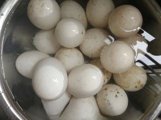 Exclusive Pickled Goose Eggs