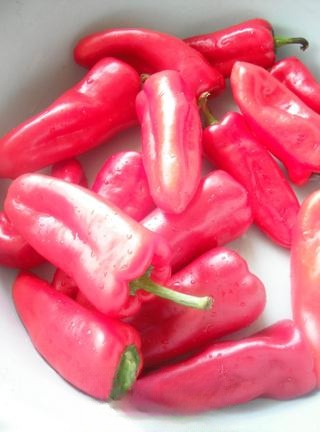 DIY Delicious Garlic Chili Sauce