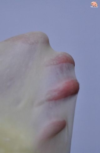 Step image