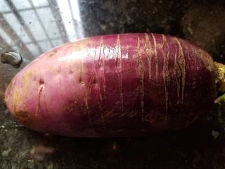 Pickled purple radish