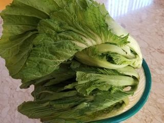 pickled cabbage