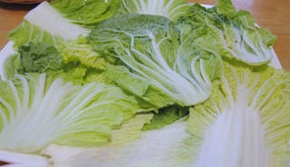 Exclusive Pickled Chinese Cabbage