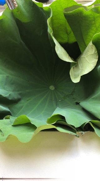 Step image