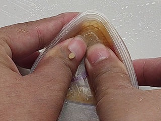 Step image