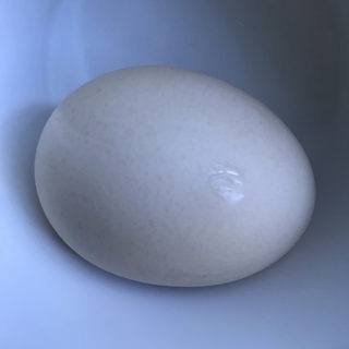 Step image