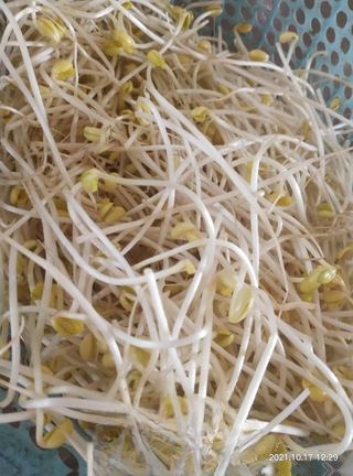 Exclusive Stir-Fried Rice Noodles