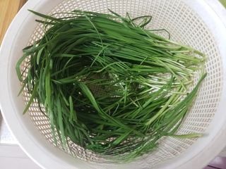 Chive and Egg Pan-Fried Bun