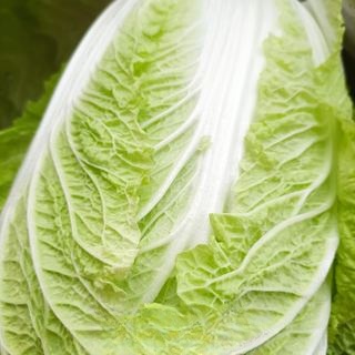 Exclusive Korean Spicy Cabbage