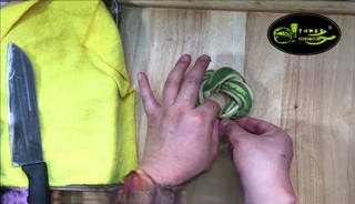 Step image