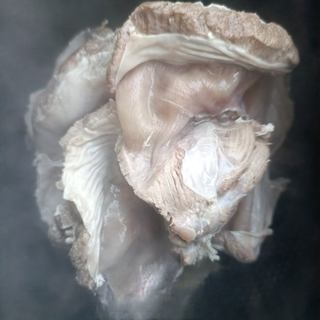 Step image