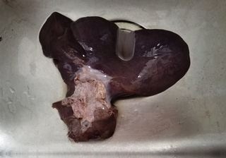 Boiled Pork Liver