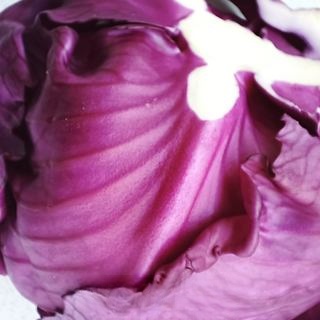 Purple Cabbage Mixed with Chicken Thighs Exclusive