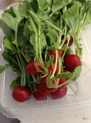 red paired with green