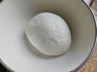 Exclusive Snow Vegetable, Fresh Meat, and Egg Wheat Pancake