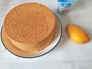 Exclusive Yogurt Mango Cake