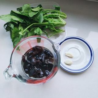 Wood Ear Mushrooms Mixed with Spinach Exclusive