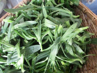Spring bamboo shoot and wild vegetable vegetarian buns launch