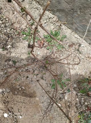 Step image
