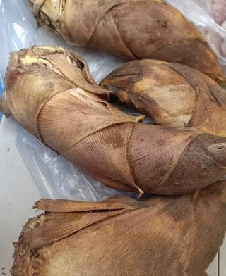 Fresh Shrimp and Shepherd's Purse Mixed with Spring Bamboo Shoots – Exclusive