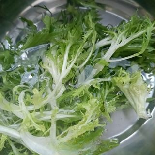 Bitter Chrysanthemum with Boiled Egg Special