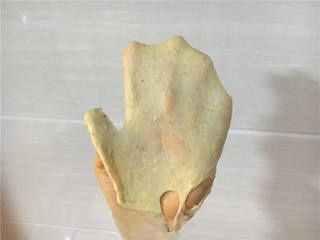 Step image