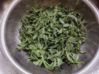 Exclusive Alfalfa Vegetable Dumplings