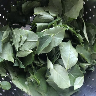 Step image