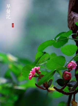 Step image
