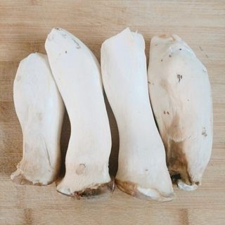 Hand-torn King Oyster Mushrooms Exclusive