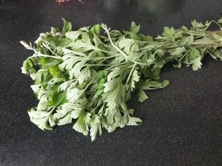 Exclusive Mugwort Qing Tuan