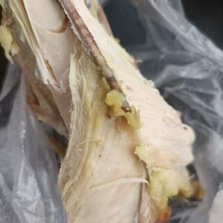 Chicken Breast Mixed with Broccoli Exclusive