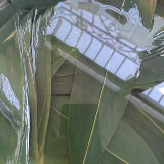 Step image