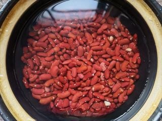 Exclusive Honey Red Kidney Beans