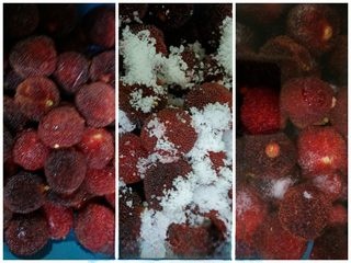 Exclusive Dried Bayberry