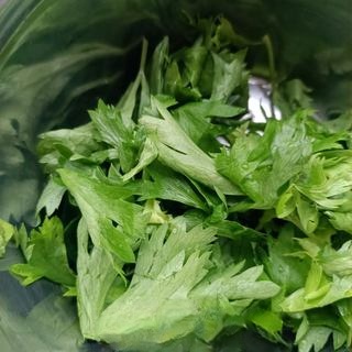 Celery leaves, carrot, wheat rice exclusive