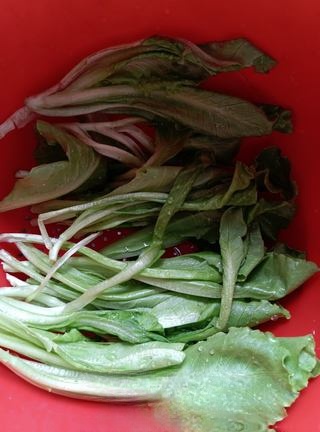 White Hair Floating on Green Water (Salted Double Vegetables) Exclusive