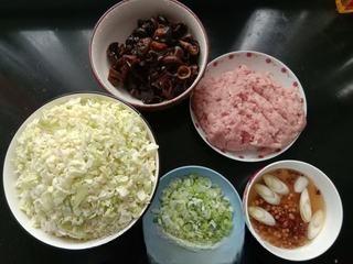 Cabbage and Black Fungus Pan-Fried Dumplings Exclusive