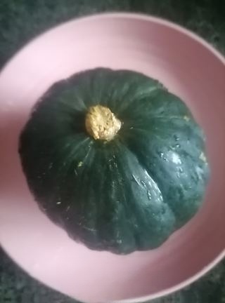 Bébé Pumpkin Steamed Egg Exclusive