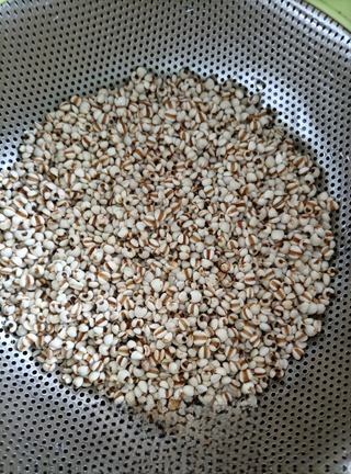 Exclusive Coix Seed Powder