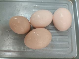 Exclusive Boiled Egg Platter