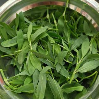 Bianxu Grass and Wheat Rice Exclusive