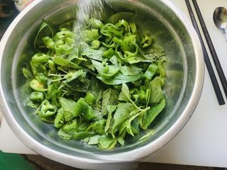 Exclusive Freshly Pickled Schizonepeta