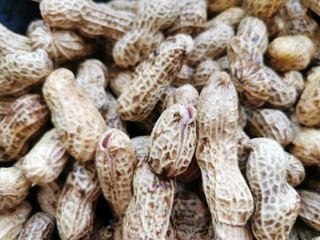 Boil peanuts