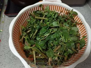 Cold Dressed Purslane