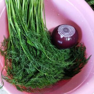 Fennel Meat Bun