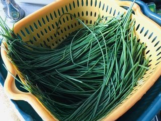 Exclusive Cold Dressed Sand Chives