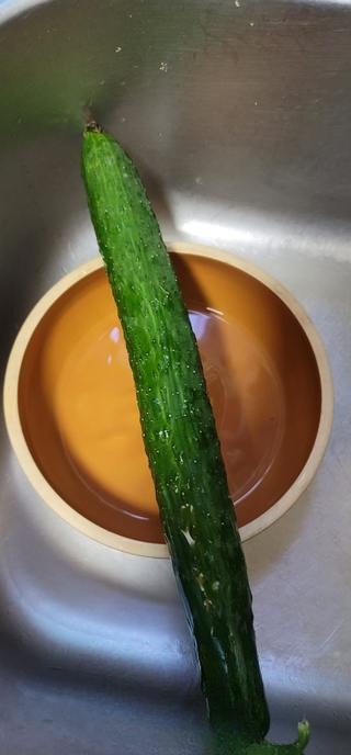 Exclusive Cucumber and Egg Salad