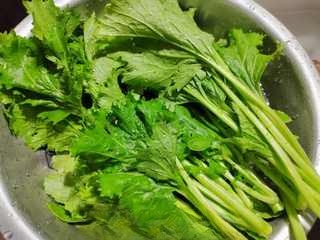 Pan-Fried Mustard Greens and Tofu Wontons Exclusive