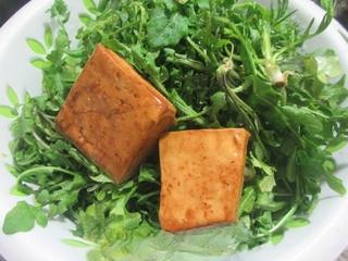 Exclusive Stir-Fried Mustard Greens with Dried Tofu